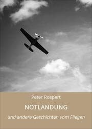 Cover von NOTLANDUNG