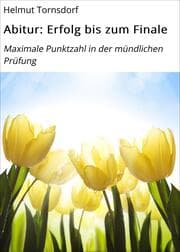 Cover von Abitur: Erfolg bis zum Finale
