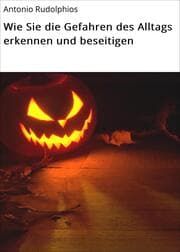 Cover von Wie Sie die Gefahren des Alltags erkennen und beseitigen