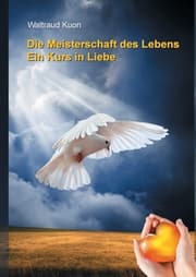 Cover von Die Meisterschaft des Lebens