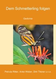 Cover von Dem Schmetterling folgen