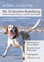 Cover von Die 12-Wochen-Ausbildung