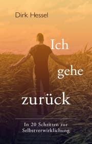 Cover von Ich gehe zurück