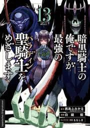 Cover von Dark Paladin 13