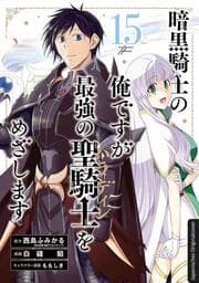 Cover von Dark Paladin 15