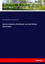 Cover von Syrisch-römisches Rechtsbuch aus dem fünften Jahrhundert