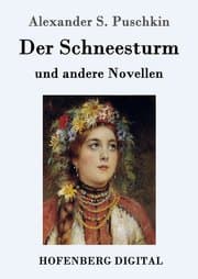 Cover von Der Schneesturm