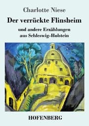 Cover von Der verrückte Flinsheim