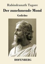 Cover von Der zunehmende Mond