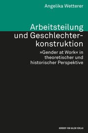 Cover von Arbeitsteilung und Geschlechterkonstruktion. 'Gender at Work' in theoretischer und historischer Perspektive