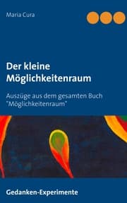 Cover von Der kleine Möglichkeitenraum