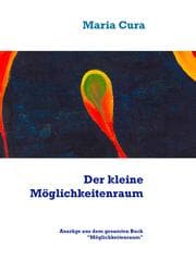 Cover von Der kleine Möglichkeitenraum