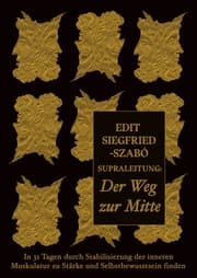 Cover von Supraleitung: Der Weg zur Mitte