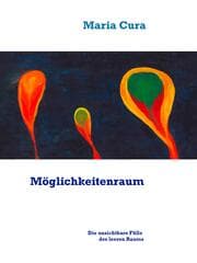 Cover von Möglichkeitenraum