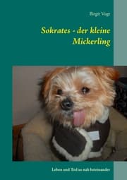 Cover von Sokrates - der kleine Mickerling