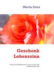 Cover von Geschenk Lebenssinn