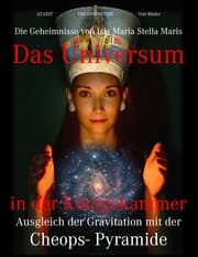 Cover von Das Universum in der Königskammer