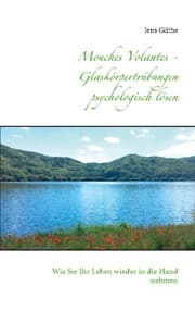 Cover von Mouches Volantes - Glaskörpertrübungen psychologisch lösen