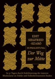 Cover von Supraleitung: Der Weg zur Mitte