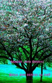 Cover von Seele was denkst du dir ?