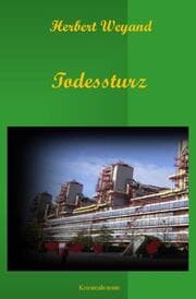 Cover von Todessturz