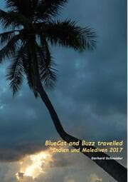 Cover von BlueCat and Buzz travelled