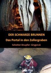 Cover von DER SCHWARZE BRUNNEN