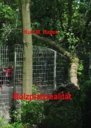 Cover von Bolzplatzrealität