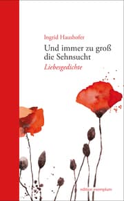 Cover von Und immer zu groß die Sehnsucht