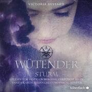 Cover von Wütender Sturm (Die Farben des Blutes 4)