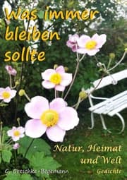 Cover von Was immer bleiben sollte