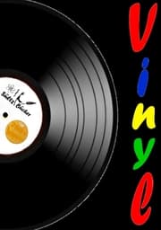 Cover von Vinyl - Meine Schallplattensammlung - Sammelbuch/Notizbuch für LP- und Single-Schallplatten