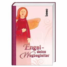 Cover von Engel - deine Wegbegleiter