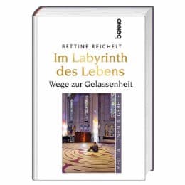 Cover von Im Labyrinth des Lebens