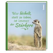 Cover von Wer lächelt, statt zu toben, ist immer der Stärkere