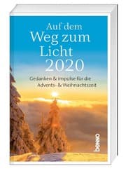 Cover von Auf dem Weg zum Licht 2020