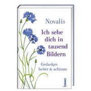 Cover von Ich sehe dich in tausend Bildern