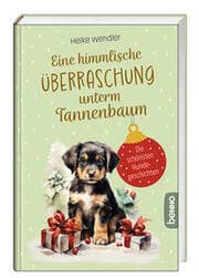 Cover von Eine himmlische Überraschung unterm Tannenbaum