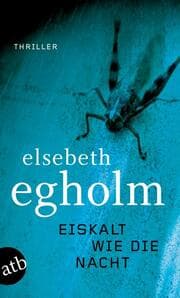 Cover von Eiskalt wie die Nacht