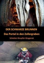 Cover von DER SCHWARZE BRUNNEN