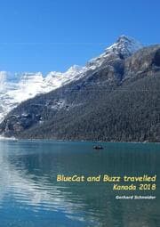 Cover von BlueCat and Buzz travelled