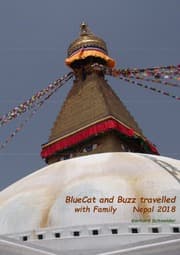 Cover von BlueCat and Buzz travelled