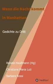 Cover von Wenn die Nacht kommt in Manhattan