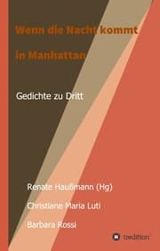 Cover von Wenn die Nacht kommt in Manhattan
