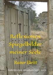Cover von Reflexionen - Spiegelbilder meiner Seele