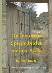Cover von Reflexionen - Spiegelbilder meiner Seele