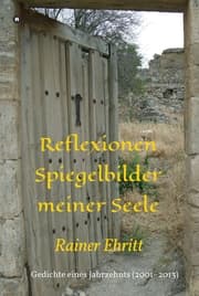 Cover von Reflexionen - Spiegelbilder meiner Seele