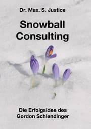 Cover von Snowball Consulting