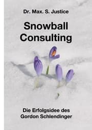 Cover von Snowball Consulting