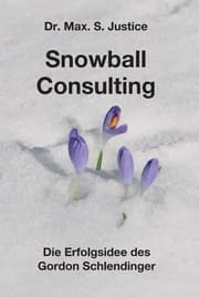 Cover von Snowball Consulting